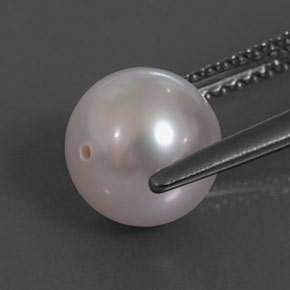 Perle rose naturelle sphère / boule, 3,13 ct, opaque