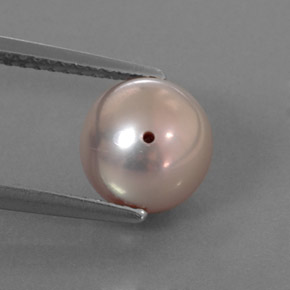 Perle gris naturelle sphère / boule, 3,53 ct, opaque