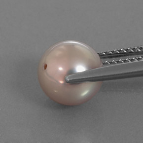 Perle gris naturelle sphère / boule, 3,53 ct, opaque