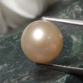 Perle gris naturelle sphère / boule, 3,52 ct, opaque