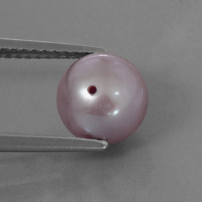 Perle bleue naturelle sphère / boule, 3,24 ct, opaque