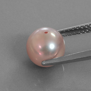 perle Argent Rosâtre naturelle Sphère / Boule, 2.89 ct, Opaque