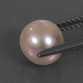 Perle rose naturelle sphère / boule, 3,36 ct, opaque