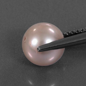 Perle rose naturelle sphère / boule, 3,07 ct, opaque