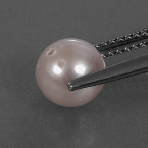 Perle rose naturelle sphère / boule, 2,43 ct, opaque