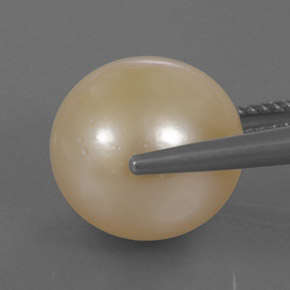 Perle jaune naturelle sphère / boule, 14,95 ct, opaque