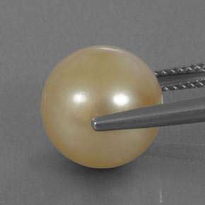 Perle jaune naturelle sphère / boule, 11,50 ct, opaque