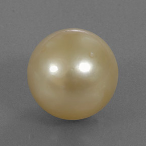 Perle jaune naturelle sphère / boule, 13,12 ct, opaque