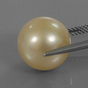Perle jaune naturelle sphère / boule, 13,12 ct, opaque