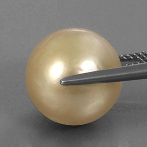 Perle jaune naturelle sphère / boule, 14,91 ct, opaque