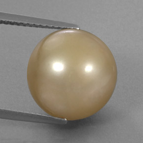 Perle jaune naturelle sphère / boule, 14,27 ct, opaque