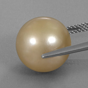 Perle jaune naturelle sphère / boule, 14,27 ct, opaque