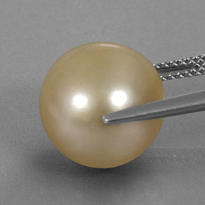 Perle jaune naturelle sphère / boule, 12,49 ct, opaque