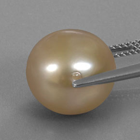 Perle jaune naturelle sphère / boule, 13,23 ct, opaque