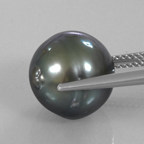 perle Argent foncé naturelle Forme fantaisie, 11.70 ct, Opaque