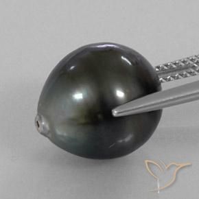perle Argent foncé naturelle Fantaisie, 11.77 ct, Opaque