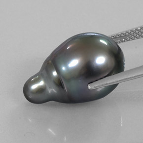 Perle gris naturelle forme fantaisie, 13,21 ct, opaque