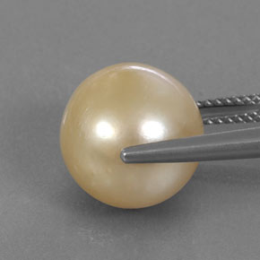 Perle jaune naturelle sphère / boule, 12,37 ct, opaque