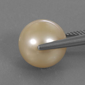 Perle jaune naturelle sphère / boule, 13,84 ct, opaque