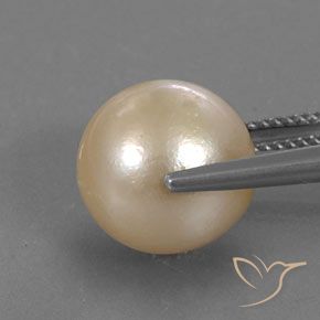 perle Doré léger naturelle Sphère / Boule, 12.24 ct, Opaque