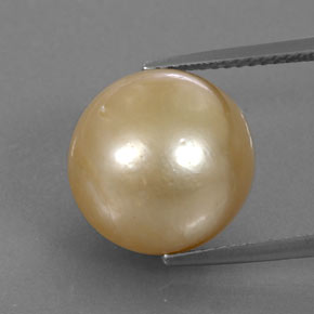 Perle jaune naturelle sphère / boule, 15,02 ct, opaque