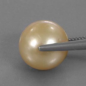 Perle jaune naturelle sphère / boule, 15,02 ct, opaque