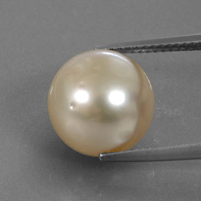 perle Doré léger naturelle Sphère / Boule, 11.57 ct, Opaque