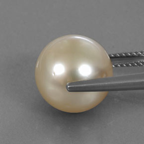 perle Doré léger naturelle Sphère / Boule, 11.57 ct, Opaque