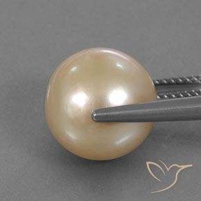 perle Orange clair naturelle Sphère / Boule, 12.62 ct, Opaque