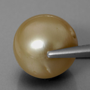 Perle jaune naturelle sphère / boule, 13,97 ct, opaque