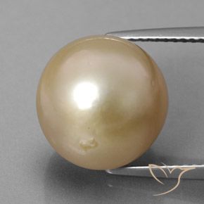 perle Doré naturelle Sphère / Boule, 13.01 ct, Opaque