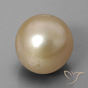 perle Doré naturelle Sphère / Boule, 13.01 ct, Opaque