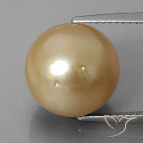 Perle doré naturelle sphère / boule, 12,60 ct, opaque