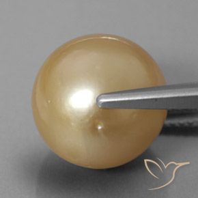 Perle doré naturelle sphère / boule, 12,60 ct, opaque