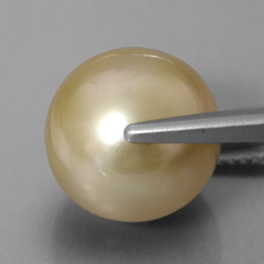 Perle jaune naturelle sphère / boule, 11,75 ct, opaque