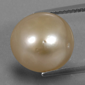 perle Doré naturelle Sphère / Boule, 13.38 ct, Opaque