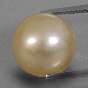 Perle jaune naturelle sphère / boule, 13,15 ct, opaque