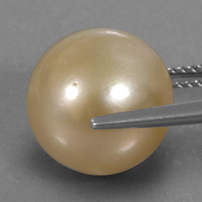 Perle jaune naturelle sphère / boule, 13,15 ct, opaque