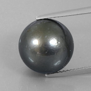 perle Argent foncé naturelle Sphère / Boule, 13.16 ct, Opaque