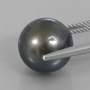 perle Argent foncé naturelle Sphère / Boule, 13.16 ct, Opaque
