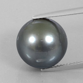 perle Argent naturelle Sphère / Boule, 13.72 ct, Opaque