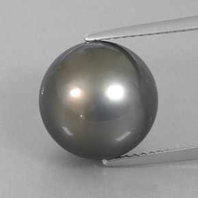 Perle gris naturelle sphère / boule, 12,75 ct, opaque