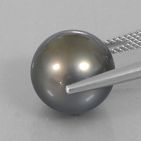 Perle gris naturelle sphère / boule, 12,75 ct, opaque