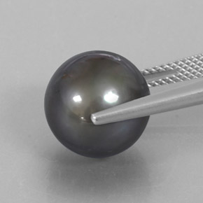 Perle gris naturelle sphère / boule, 12,75 ct, opaque