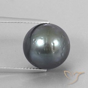 Perle gris naturelle sphère / boule, 12,49 ct, opaque