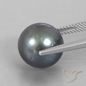 Perle gris naturelle sphère / boule, 12,49 ct, opaque