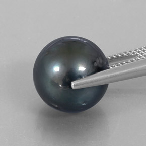 Perle gris naturelle sphère / boule, 12,65 ct, opaque