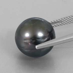 perle Argent foncé naturelle Sphère / Boule, 14.52 ct, Opaque