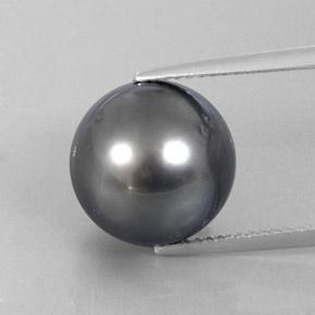 Perle gris naturelle sphère / boule, 13,13 ct, opaque