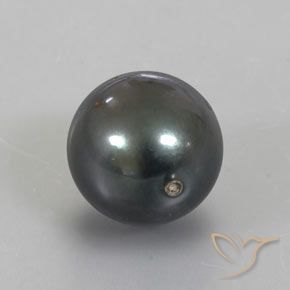 perle Gris foncé naturelle Sphère / Boule, 13.49 ct, Opaque